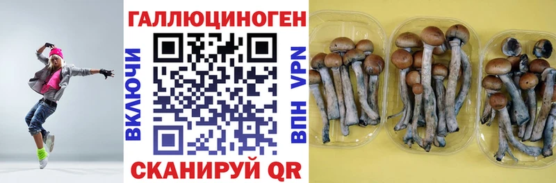 Галлюциногенные грибы прущие грибы  закладки  Щигры 